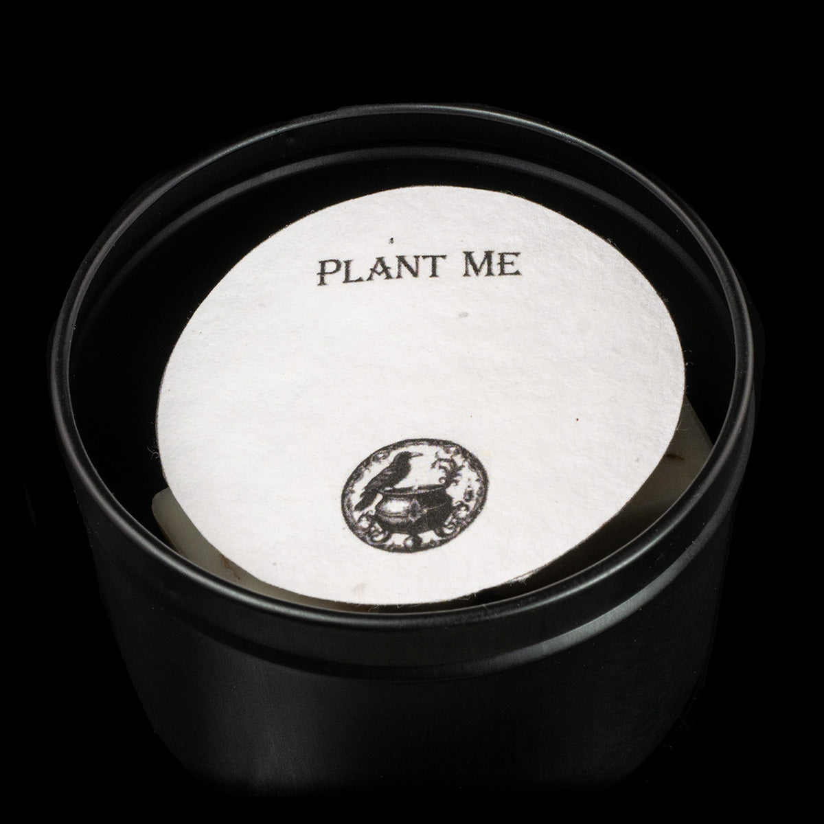 Brine & Birch Candle