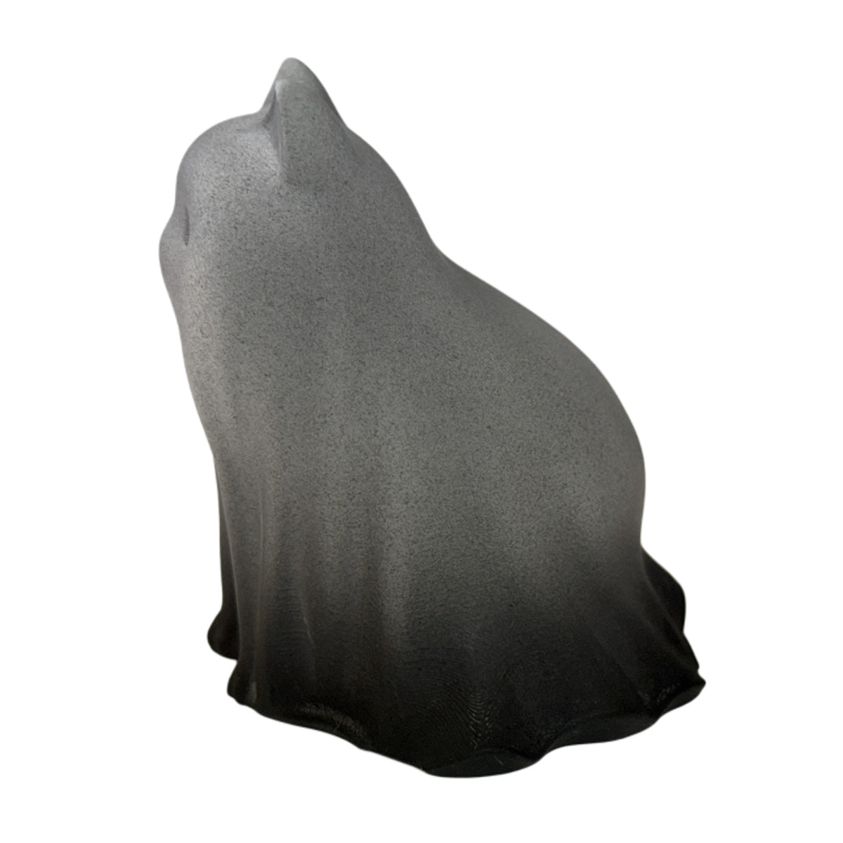 Nightpaw Ghost