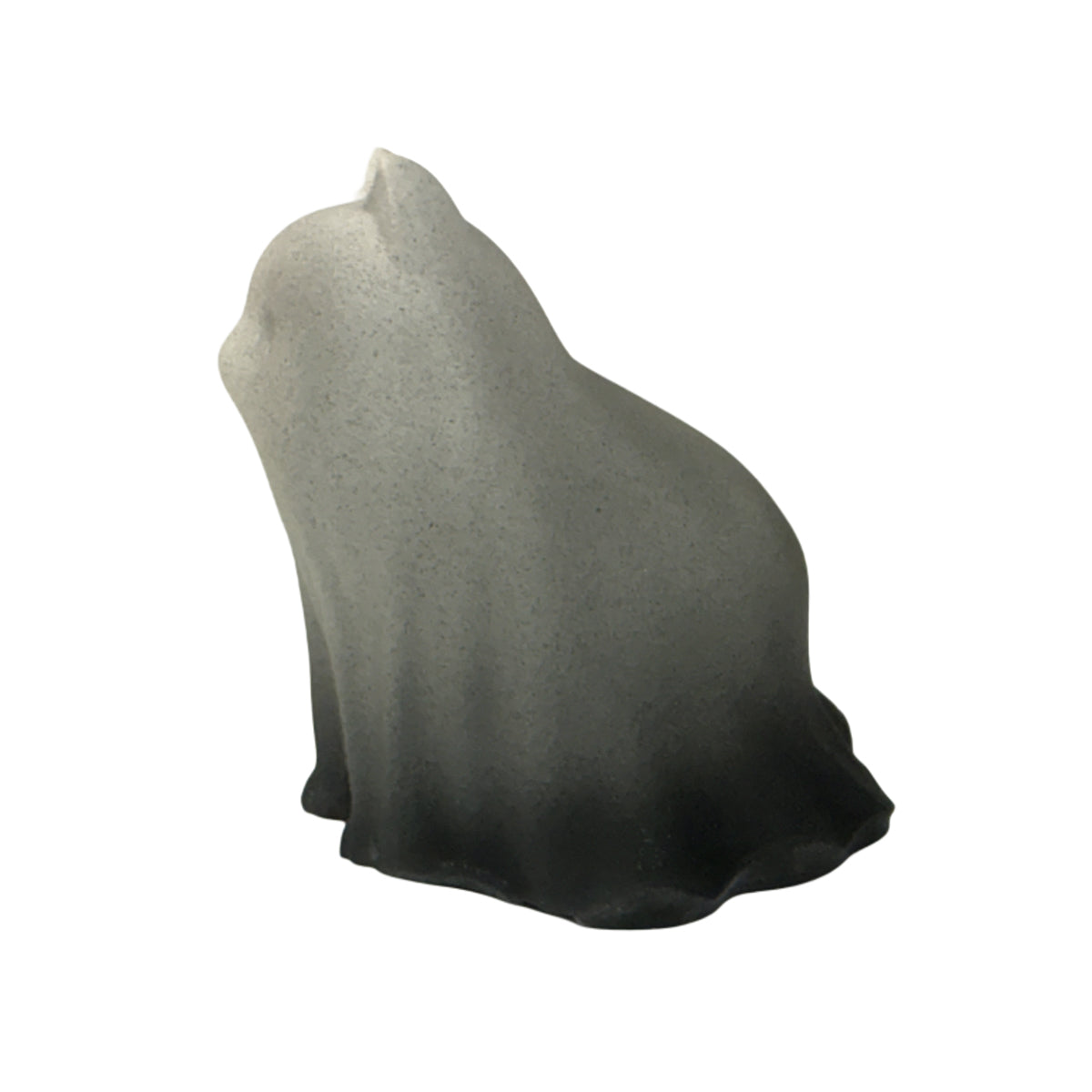Nightpaw Ghost
